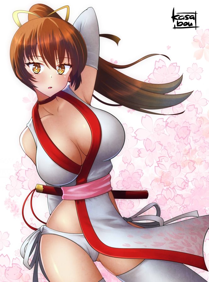 Kasumi (Doa) Rule 34 Image