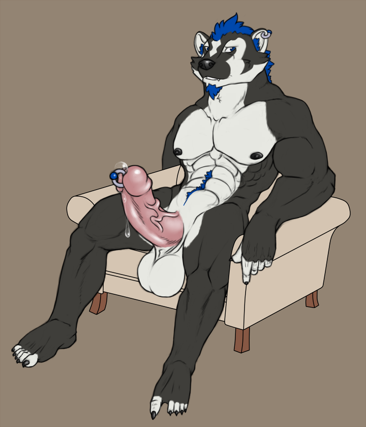 1boy anthro badger balls cobaltbadger_(character) ear_piercing erection ez genital_piercing humanoid_penis male male_only mammal mustelid penis penis_piercing piercing sitting solo