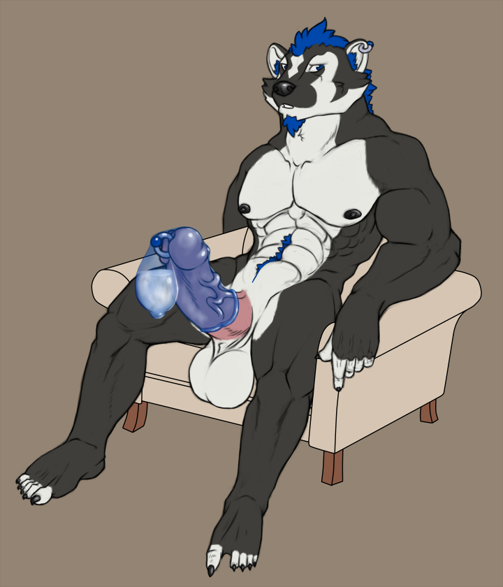 1boy anthro badger balls cobaltbadger_(character) condom ear_piercing erection ez filled_condom genital_piercing humanoid_penis male male_only mammal mustelid penis penis_piercing piercing sitting solo