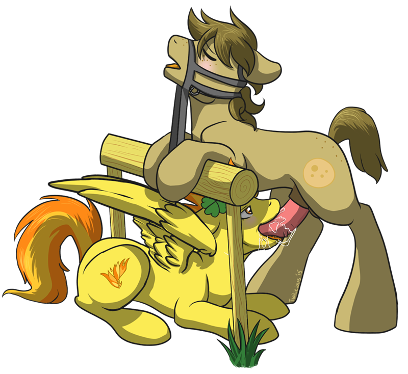 animal_genitalia blush chocolate_chips equine fellatio female feral friendship_is_magic horse male mammal my_little_pony open_mouth oral original_character pegasus penis pony saliva sex spitfire_(mlp) straight twilicious wings wonderbolts_(mlp)