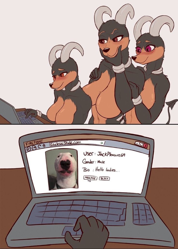 3girls 5_fingers anthro artist_request big_breasts brown_eyes canine curvy furry game_freak generation_2_pokemon houndoom laptop medium_breasts meme nintendo orange_eyes pokemon pokemon_(species) purple_eyes