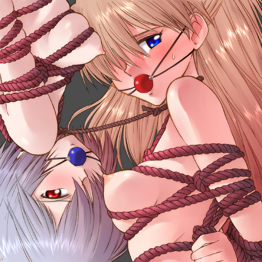 2girls, arms behind back, asuka langley sohryu, ayanami rei, ball gag, blue eyes, blush, bondage, bound, bound together, breast bondage, breasts, female, female focus, female only, femsub, gag, gagged, kikumaru bunta, medium breasts, multiple females, multiple girls, neon genesis evangelion, nipples, nude, red eyes, rei ayanami, rope, rotational symmetry, souryuu asuka langley, tears, upper body