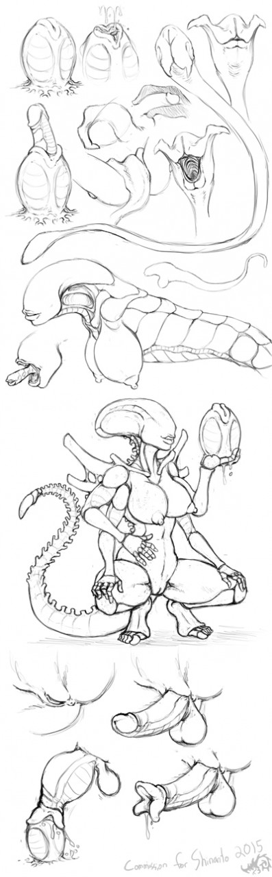 alien alien_(franchise) anthro anus ass balls breasts egg egg_laying facehugger fleatrollus herm hi_res impregnation intersex multi_arm multi_limb nipples ovipositor penis pussy shinanto xenomorph