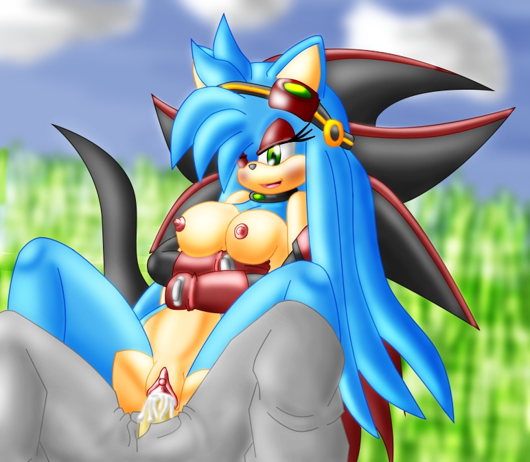 becky_the_hedgehog black_fur blue_fur breasts chaossabre clitoris clothing collar cum cum_in_pussy cum_inside eyewear fur gloves goggles green_eyes hedgehog mammal penetration penis purity_the_hedgehog pussy shadow_the_hedgehog sonic_(series) tan_fur unknown_species vaginal_penetration