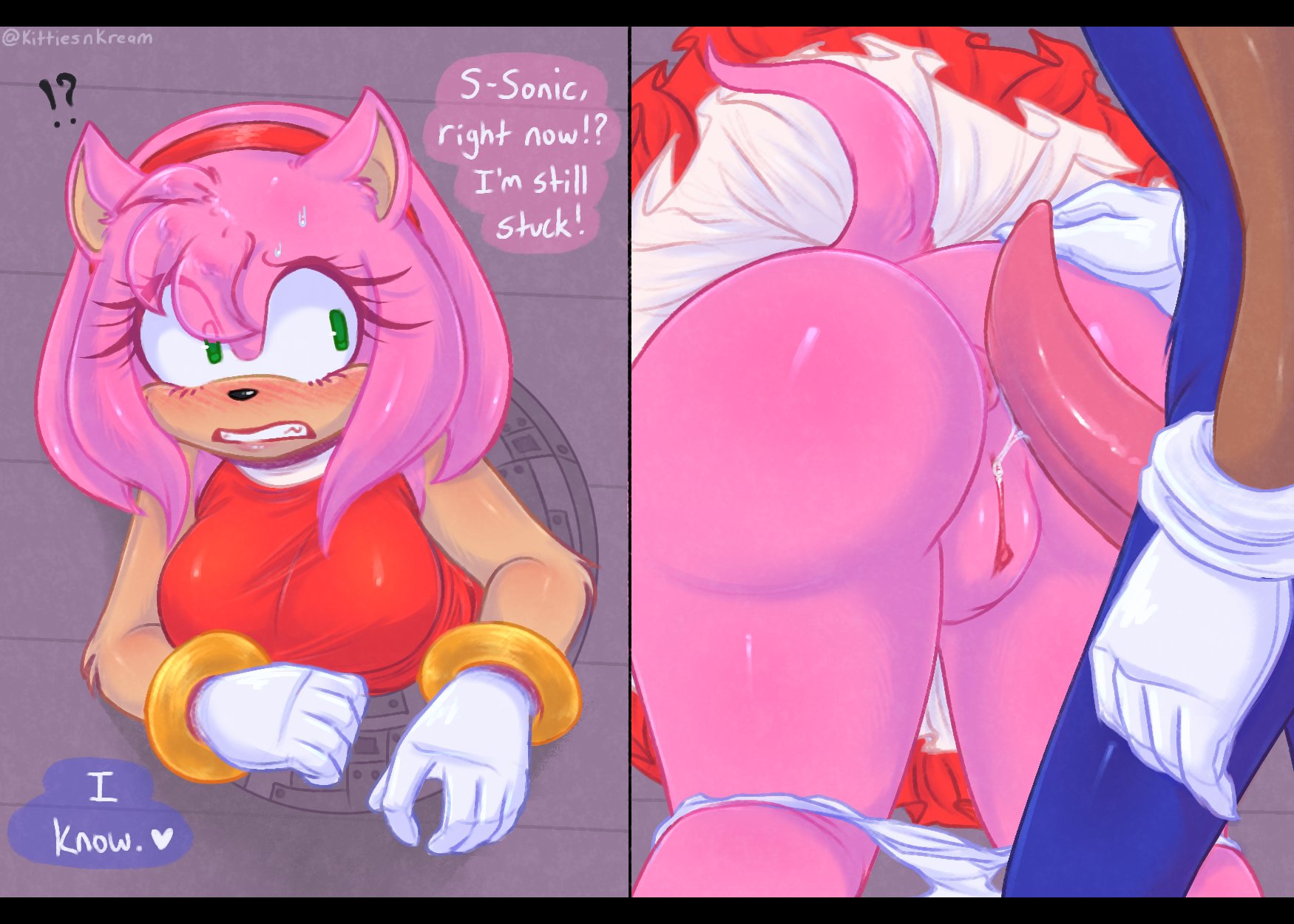 amy rose, animal penis, anus, ass, dialogue, dubcon, female, furry, kittiesnkream, male, panties, panties down, penis, pussy, sonic (series), sonic the hedgehog, sonic the hedgehog (series), stuck, stuck in wall, tail, white panties