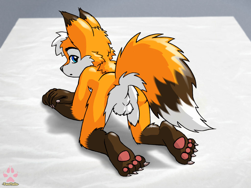 all_fours anthro balls canine fox male mammal nude paws pose shy tagme twotails