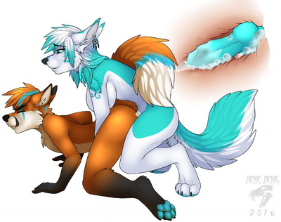 1boy 1futa all_fours anal anal_sex animal_genitalia animal_penis anthro artica_sparkle canine canine_penis completely_nude crouching cum cum_in_ass cum_inside cyan_footpaw dickgirl fox from_behind_(disambiguation) full-package_futanari fur furry futa_on_male futanari intersex intersex/male intersex_penetrating jackiejackal knot knotting male male_penetration mammal nude nude_male penetration penis piercing red_fox sex simple_background smile smirk striped_tails tails_(limbs) tattoo tied_together uncensored white_background wildkarrde x-ray