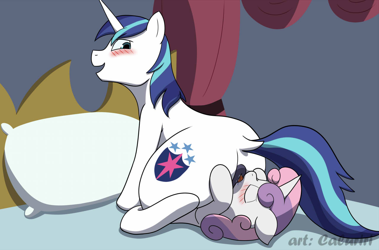 anal anal_oral_sex anal_sex anilingus anus blush caluriri cub dilf facesitting female feral hasbro male male_facesitting male_facesitting_female my_little_pony oral oral_sex rimjob rimming sex shining_armor_(mlp) sweetie_belle_(mlp) unicorn_pony