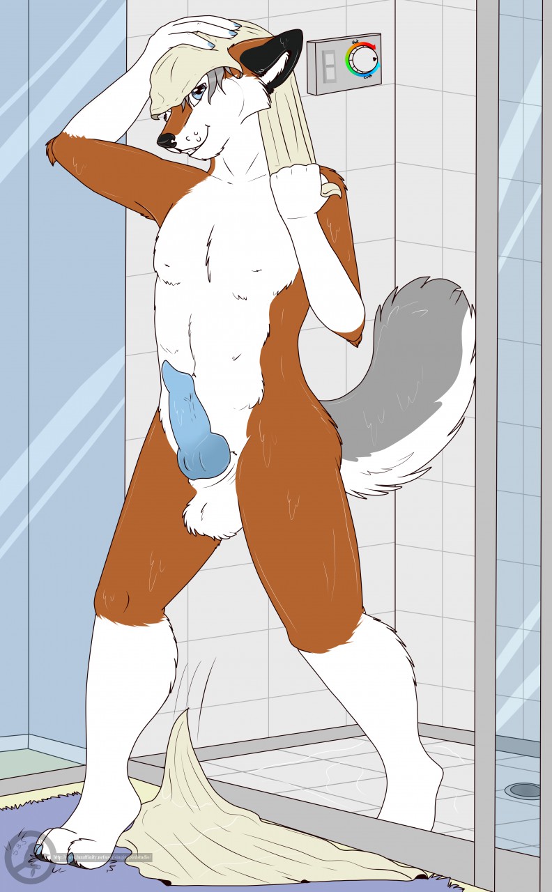 anthro canine husky knot looking_at_viewer male_only mammal original original_character penis shower singingbirdstudio standing towel