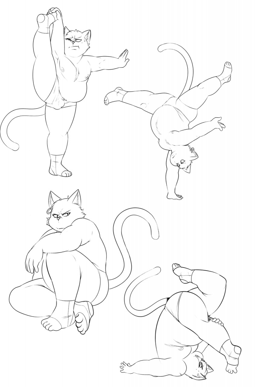 anthro black_and_white briefs bulge clothed clothing eroborus feline front_view handstand hi_res holding_leg leliel male male_only mammal monochrome multiple_images multiple_poses on_one_foot on_one_hand pose shoulder_stand side_view sitting solo spats standing straining stretching topless underwear