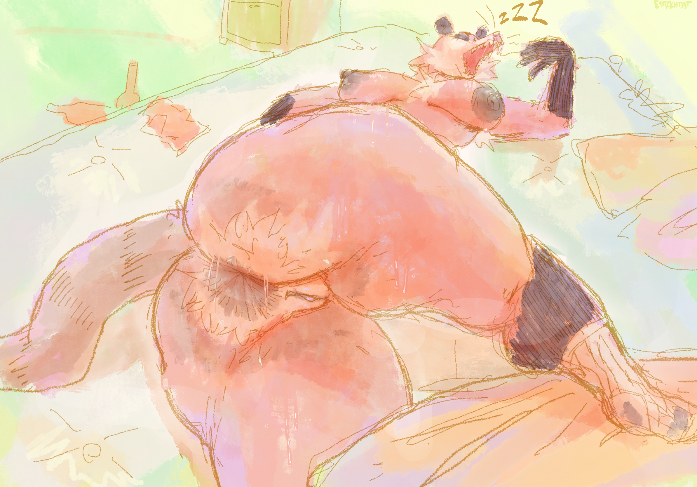american opossum, anal hair, anthro, anus, ass, big ass, big breasts, big butt, bodily fluids, breasts, clothing, female, footwear, genitals, hi res, mammal, marsupial, mattress, open mouth, pussy, saliva, sharp teeth, sleeping, smashmat, socks, solo, sweat, sweaty ass, sweaty butt, teeth