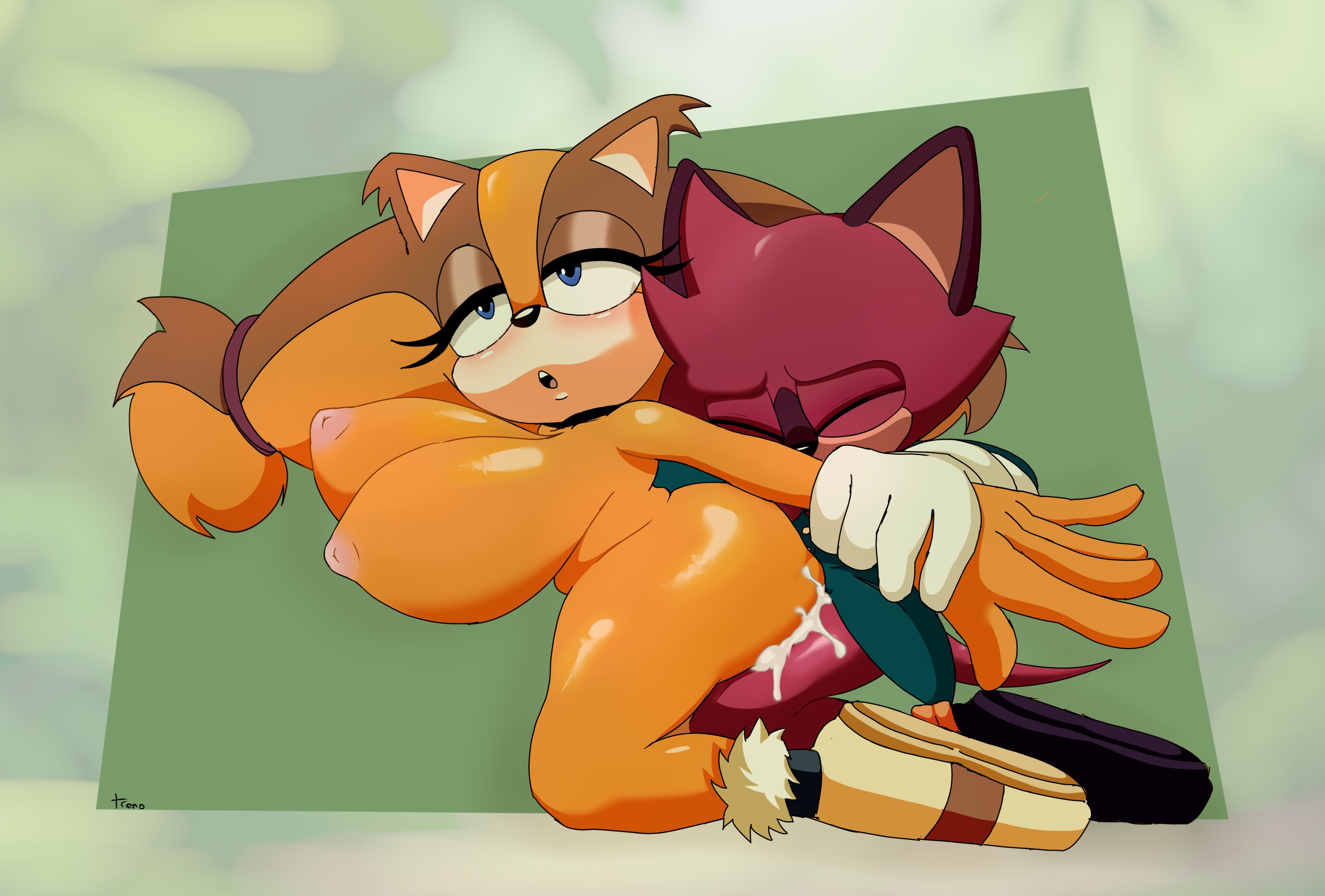 1boy, 1girls, artist name, badger, barry the quokka, big ass, big breasts, boots only, breasts, caminacarro4000, colored, female, hands on arms, male, male/female, pattern background, penetration, quokka, sega, sex, shaded, sonic (series), sonic the hedgehog (archie), sonic the hedgehog (comics), sonic the hedgehog (idw), sonic the hedgehog (series), sticks the badger, twintails