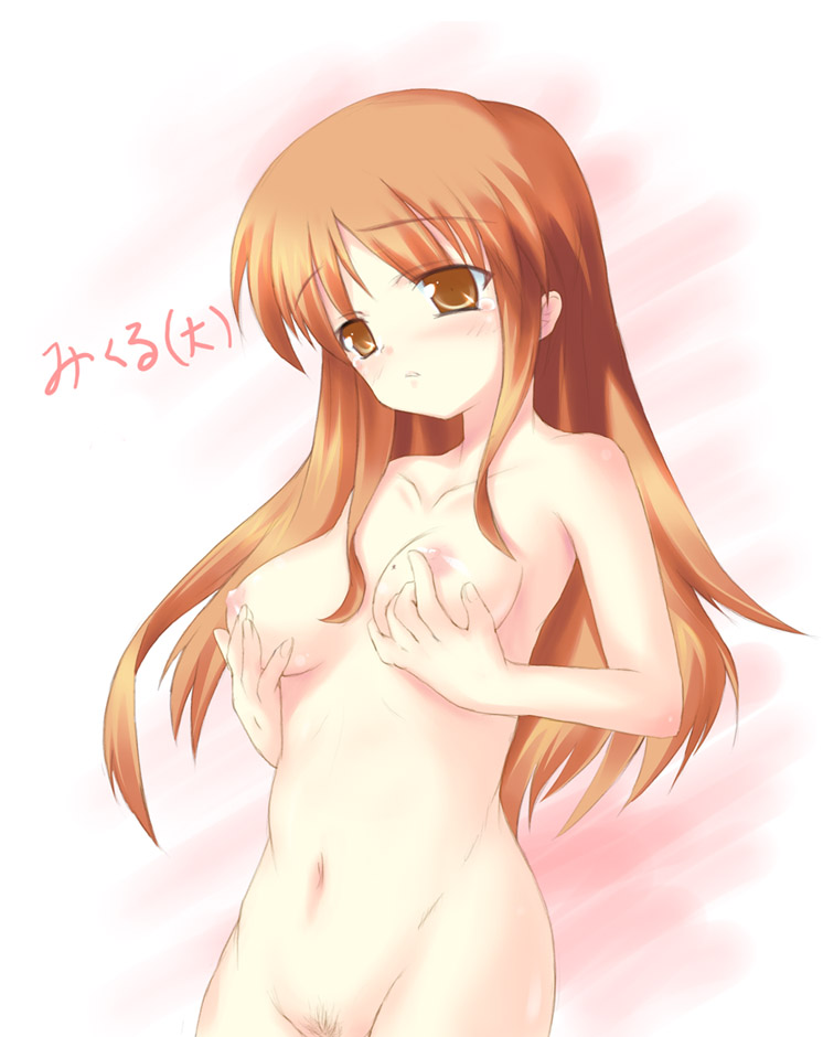 asahina_mikuru blush breast_cup brown_eyes brown_hair bust_cup nude safi suzumiya_haruhi_no_yuuutsu