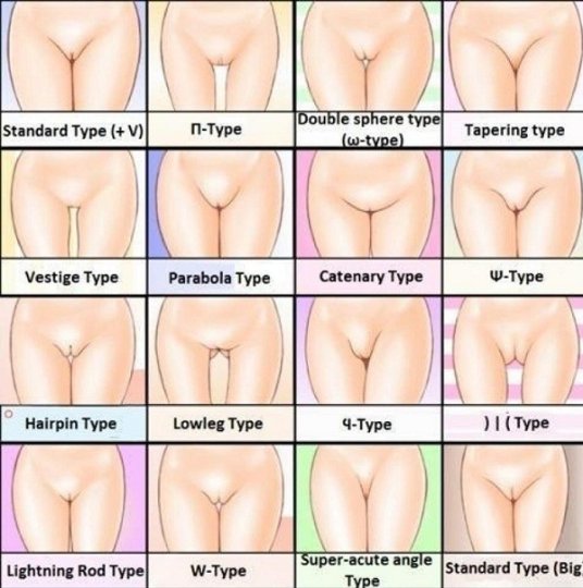 comparison diagram educational pussy shaved_pussy text