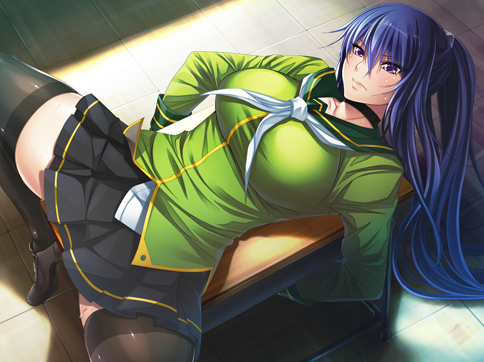 akiyama rinko, aoi nagisa (artist), blue hair, breasts, female, ponytail, taimanin asagi battle arena, taimanin yukikaze, tied hair