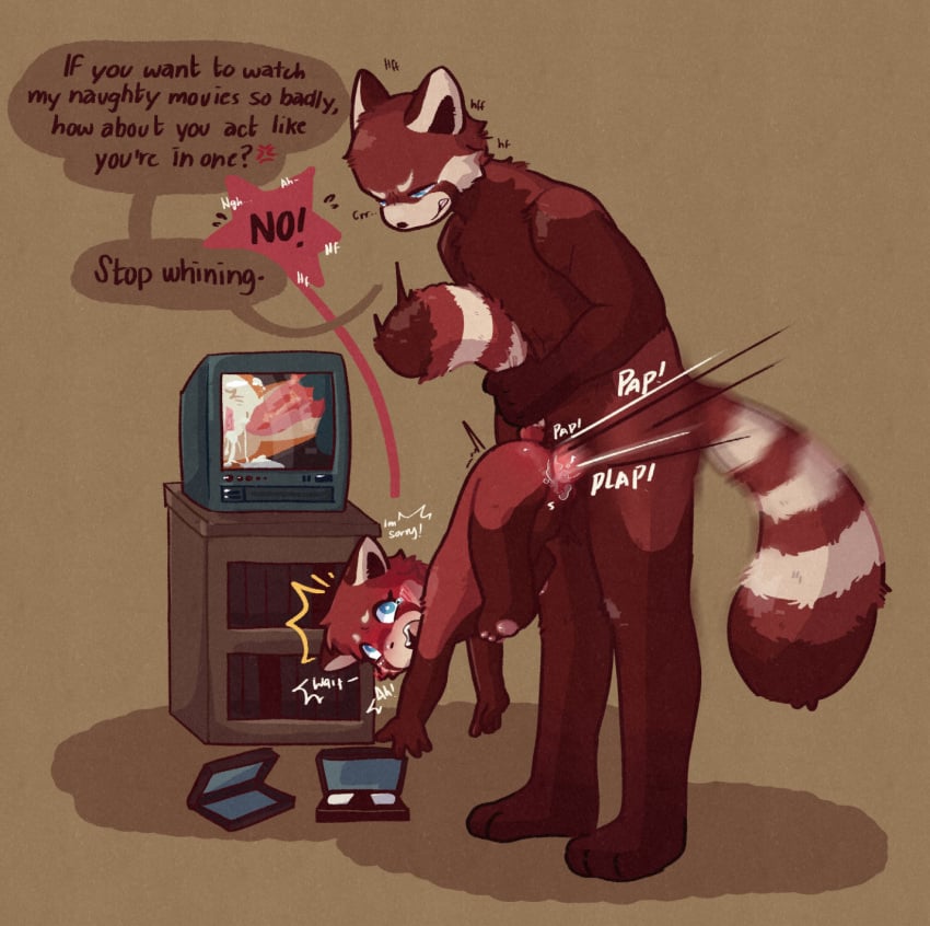 anthro, begging, cub, dad, daughter, dialogue, father, father and daughter, furry, girl, incest, male, male penetrating female, panda, penetration, rape, raped by father, red panda, size difference, straight, tv, vinik, volx
