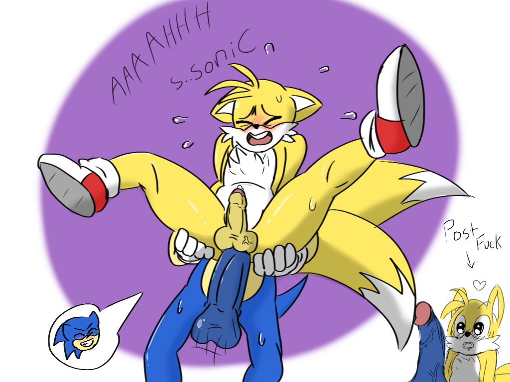 anal anal_sex ass balls big_butt big_penis blush canine cute duo edude fox fur furry furry_only hedgehog male male_only mammal penetration penis sex sonic_(series) sonic_the_hedgehog sweat tails twink yaoi