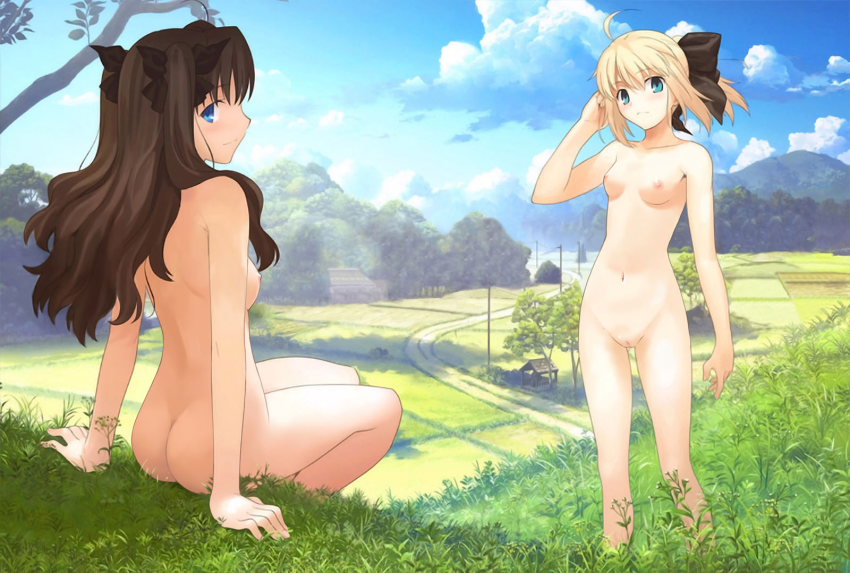 2girls ahoge aqua_eyes artoria_pendragon artoria_pendragon_(lily) ass back bare_legs bare_shoulders blonde_hair blue_eyes blue_sky bow breasts brown_hair butt_crack camisole capcom casual cloud fate/stay_night fate/unlimited_codes fate_(series) female female_only field grass hair_ribbon hairbow hand_in_hair hill house human long_hair long_legs looking_at_viewer looking_back multiple_girls nipples nude nudist outdoors pale_skin ponytail power_lines profile pussy ribbon scenery shadow sideways_mouth sitting sky standing takeuchi_takashi telephone_pole tied_hair tohsaka_rin tree twintails two_side_up uncensored well zenra