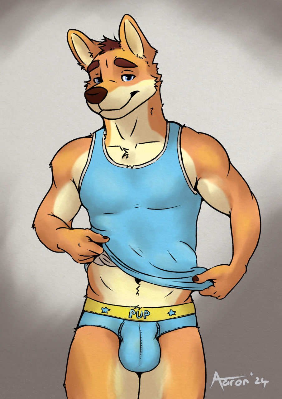 aaron_pictus anthro bedroom_eyes bulge canid canine canis clothed clothing flirting front_view hi_res male mammal narrowed_eyes raised_clothing raised_shirt raised_tank_top raised_topwear seductive shirt solo tank_top topwear underwear undressing undressing_self wolf