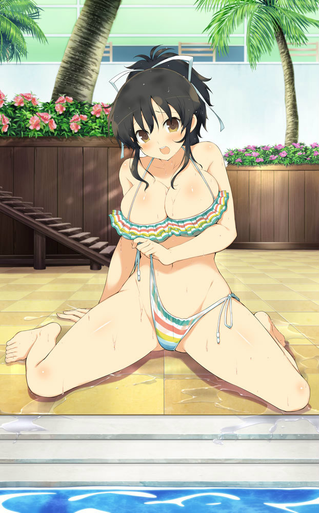 1girls, armpit crease, asuka (senran kagura), bikini, blush, body blush, breasts, brown eyes, brown hair, cleavage, collarbone, embarrassed, female, female only, flower, flower box, frilled bikini, frills, hair between eyes, hair ribbon, kunoichi, large breasts, looking at viewer, multicolored bikini, multicolored stripes, navel, ninja, official art, open clothes, open mouth, palm tree, pink flower, ponytail, pool, poolside, rainbow bikini, ribbon, senran kagura, senran kagura new wave, senran kagura shoujo-tachi no shin'ei, shiny skin, short hair, short ponytail, shy, side-tie bikini bottom, sidelocks, sitting, solo, stairs, striped bikini, striped clothes, swimsuit, teen, teenage girl, teenager, teeth, tree, tying bikini, untied bikini, untied bikini bottom, upper teeth only, wardrobe malfunction, wariza, water, wet, white ribbon, wooden stairs, yaegashi nan