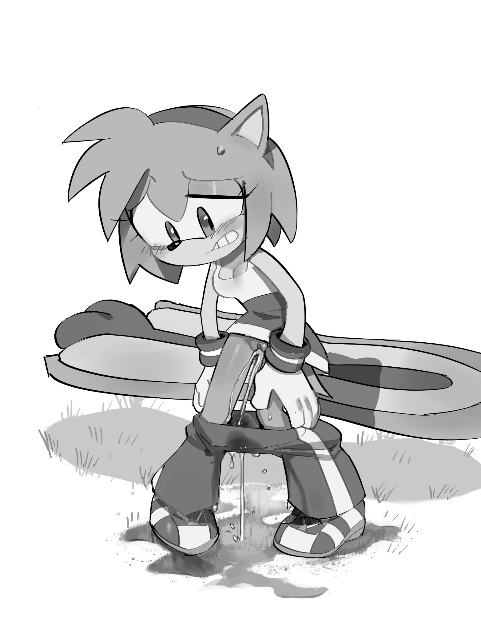 1girls, amy rose, blush, bodily fluids, embarrassed, extreme gear, grass, monochrome, outdoors, pants down, pee stain, peeing, peeing self, pinklilim, pussy, soaked clothes, sonic (series), sonic riders, sonic the hedgehog (series), wet pants, wetting self