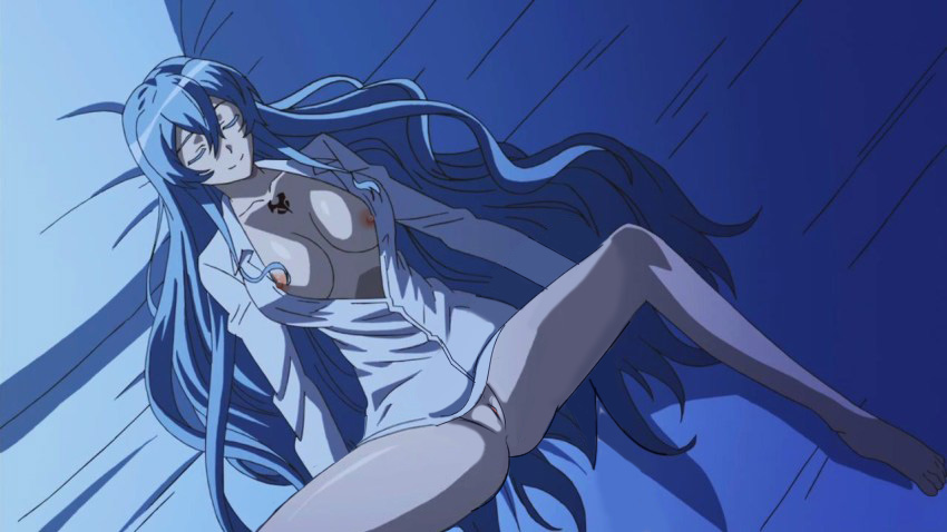 1girls, accurate art style, akame ga kill!, edit, esdeath (akame ga kill!), female, female only, light skin, light-skinned female, nekomate14 edited, nude filter, pale skin, pale-skinned female, screenshot, screenshot edit, solo