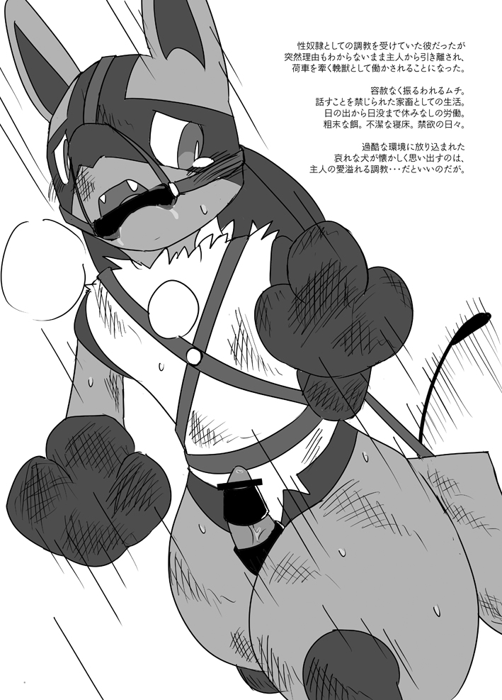 1boy canine feral fur gag kurohane_karasu lucario male male_only mammal monochrome nintendo open_mouth penis pokemon pokemon_(species) saliva simple_background solo spanking text translation_request video_games whip