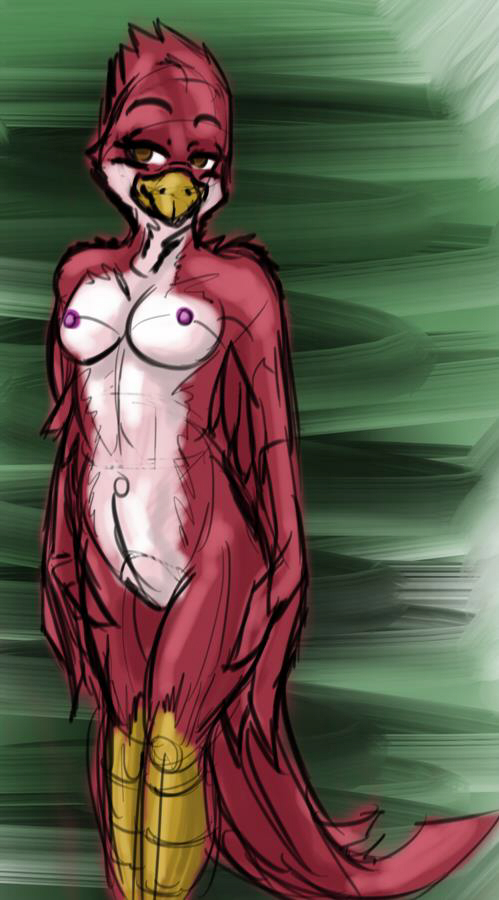 2016 anthro avian avian_(starbound) beak bird blush breasts brown_eyes feathers female maladash nipples nude red_feathers rule_63 simple_background smile solo starbound talons tatsuchan18 video_games white_feathers