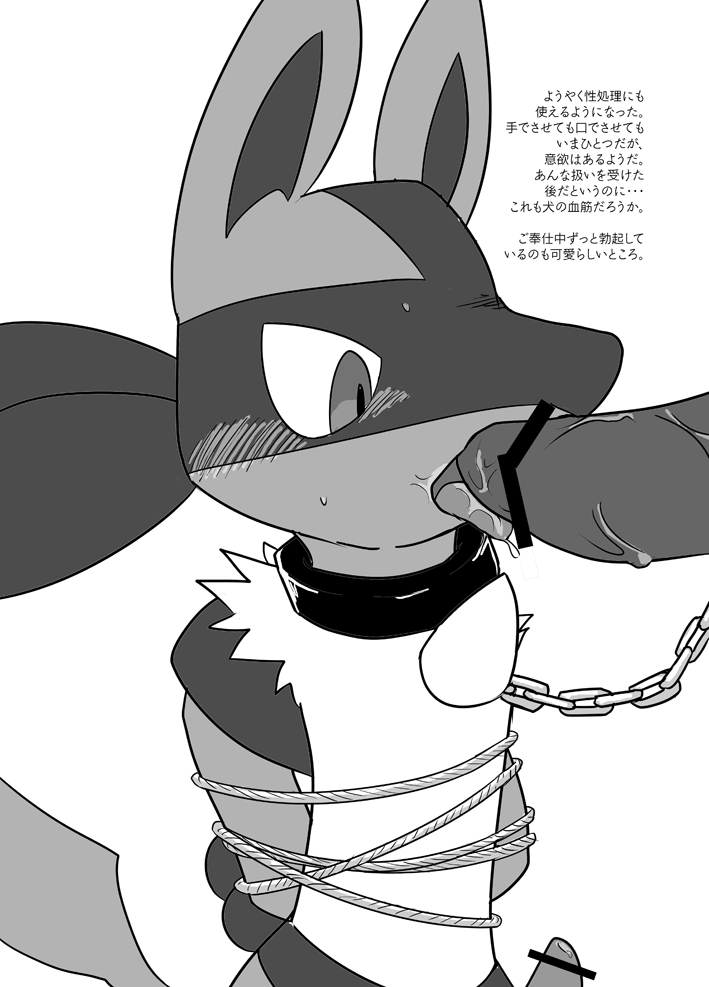 canine censored chains fellatio feral fur kurohane_karasu leash lucario male mammal monochrome multiple_males nintendo open_mouth oral pokemon pokemon_(species) rope simple_background text translation_request yaoi