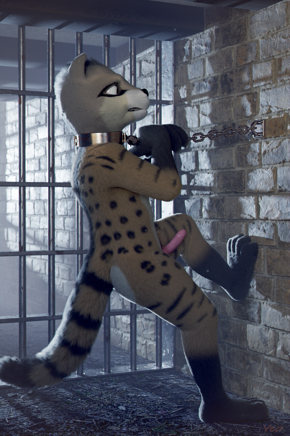 anthro bars chain_leash chain_tugging chained_to_wall chains civet collar erection foot_on_wall hi_res leash male mammal metal_collar solo stone_wall trapa veo viverrid wall_(structure)