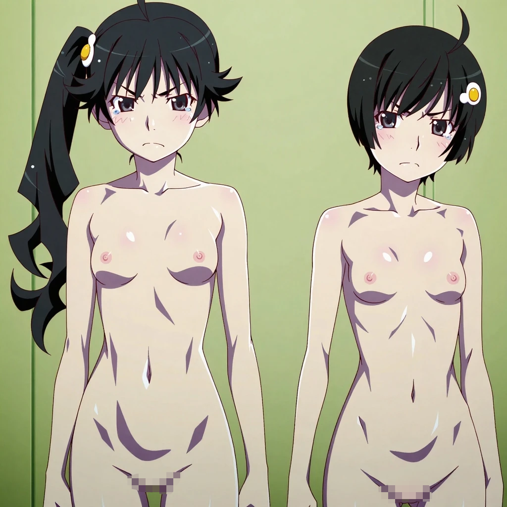 Monogatari (Series) Rule 34 Image