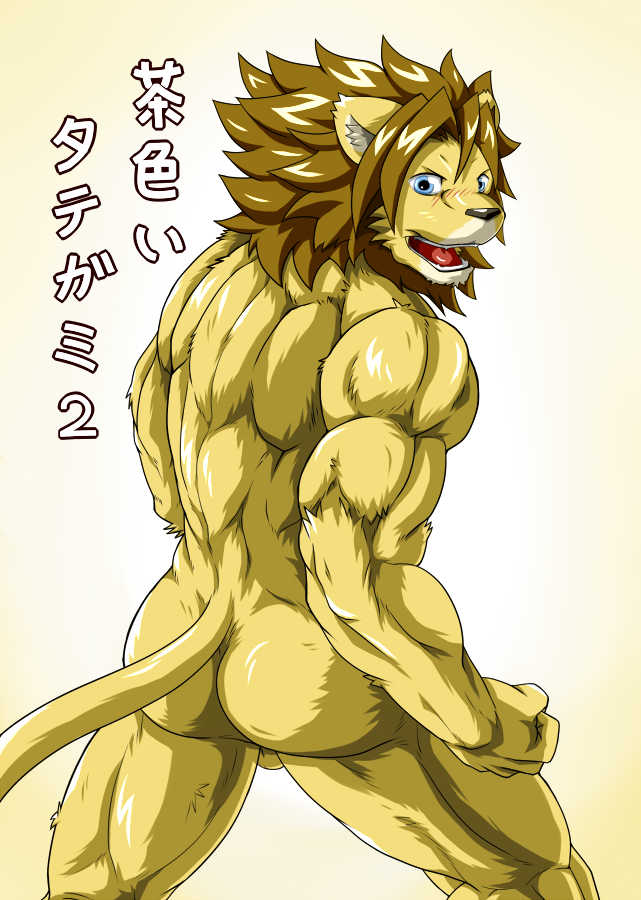 anthro ass balls blush colored feline japanese_text lion looking_at_viewer male male_only mammal muscular nude simple_background solo text wildheit