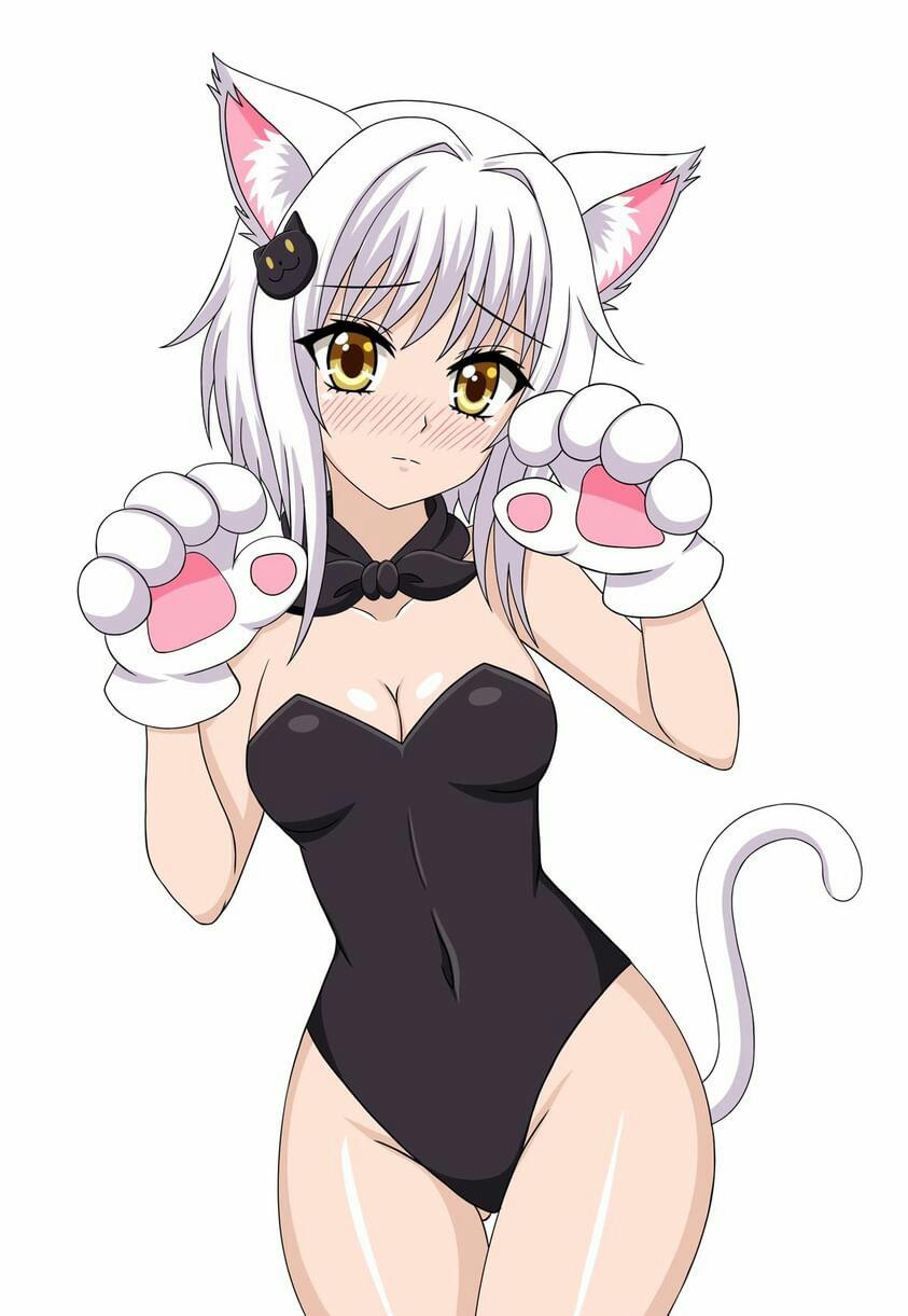 blush cat_ears cat_tail cleavage cosplay hfxpins high_school_dxd koneko_toujou small_breasts white_hair