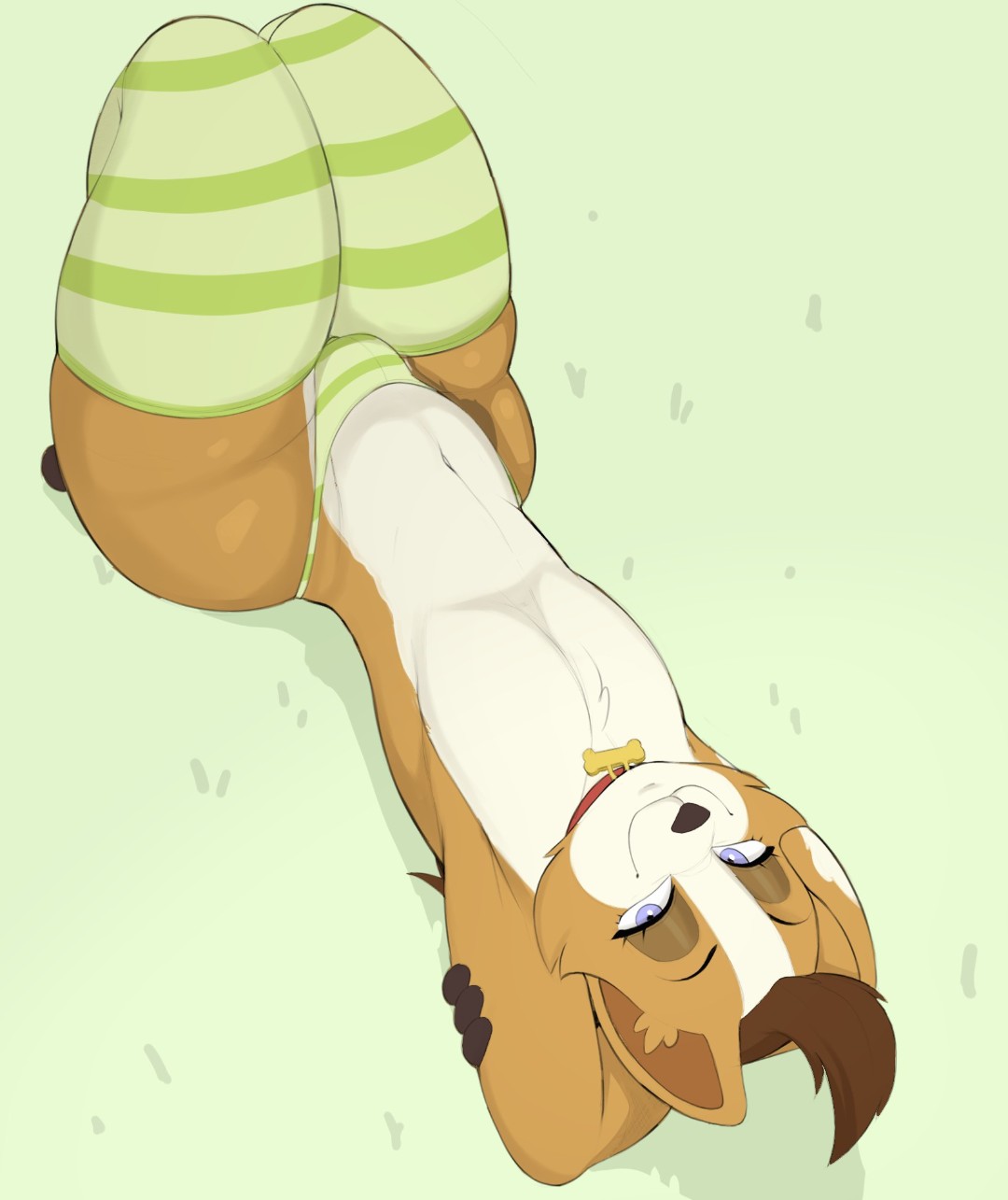 dog, femboy, male, male only, tagme, usnarbit