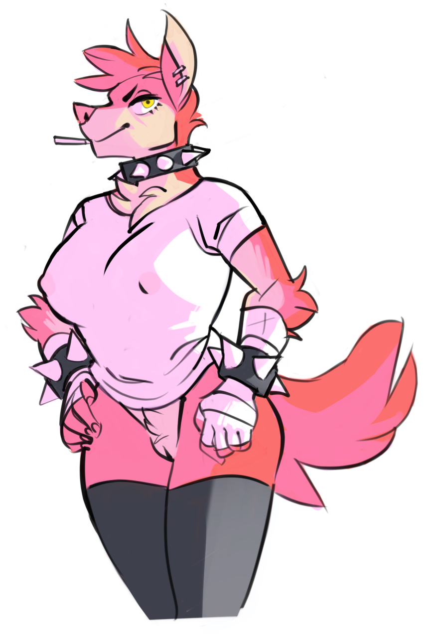 anthro canine clothing collar ear_piercing female kippy legwear looking_at_viewer mammal nipple_bulge piercing pink_fur pussy simple_background smile solo spiked_collar thigh_highs white_background