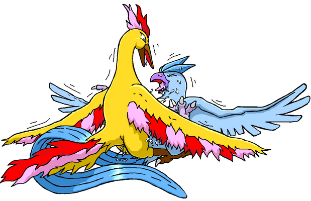 ambiguous_gender ambiguous_penetrated articuno avian blue_feathers cum dragon_soul_e feral feral_on_feral legendary_pokemon moltres motion_lines nintendo pokémon_(species) pokemon pokemon_(species) pokemon_only simple_background tagme tongue tongue_out white_background yellow_feathers