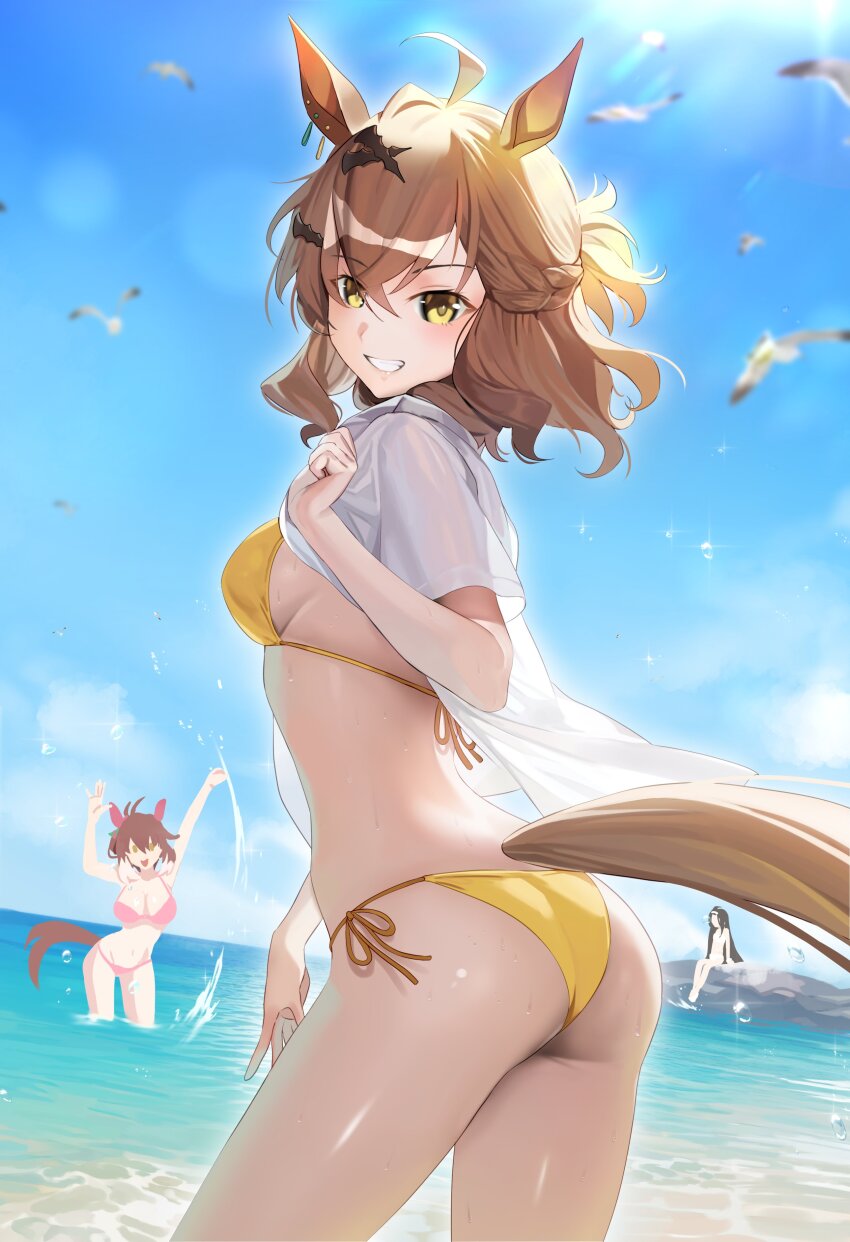 ass, bikini, dantsu flame (umamusume), jungle pocket (umamusume), looking at viewer, looking back, manhattan cafe (umamusume), smile, string bikini, tail, ugohato, umamusume, umamusume pretty derby
