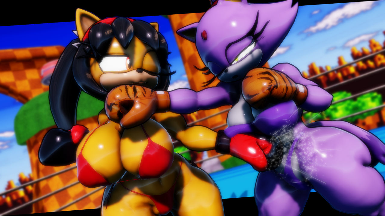2girls 3d 3d_(artwork) anthro big_breasts bikini black_hair blaze_the_cat boxing boxing_gloves boxing_ring breasts catfight cleavage duo female female_focus female_only fight fighting fighting_ring furry gloves gut_punch honey_the_cat huge_breasts kabalmystic_(style) large_breasts long_hair punch punching punching_stomach ryona sega sonic_(series) sonic_the_hedgehog_(series) stomach_punch twintails wide_hips