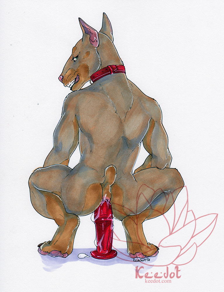 2016 ambiguous_fluids anal anal_sex anthro ass canine collar crouching dildo doberman english_text gay keedot looking_at_viewer looking_back male male_only mammal masturbation nude pawpads penetration pink_pawpads raised_tail rear_view red_dildo sex_toy signature simple_background smile solo teeth text watermark white_background yaoi