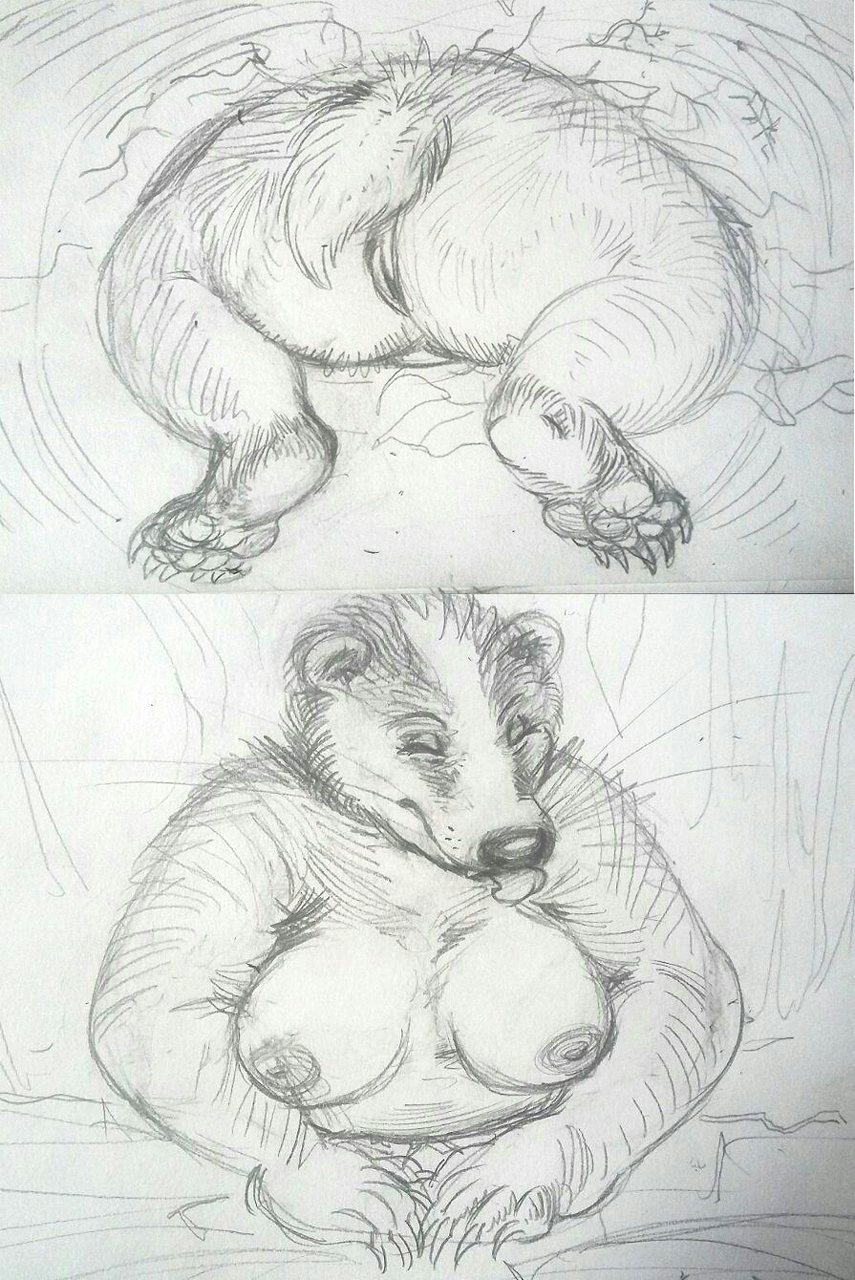 2016 anthro badger breasts closed_eyes female mammal mustelid nude oddwilds overweight pussy simple_background sketch solo