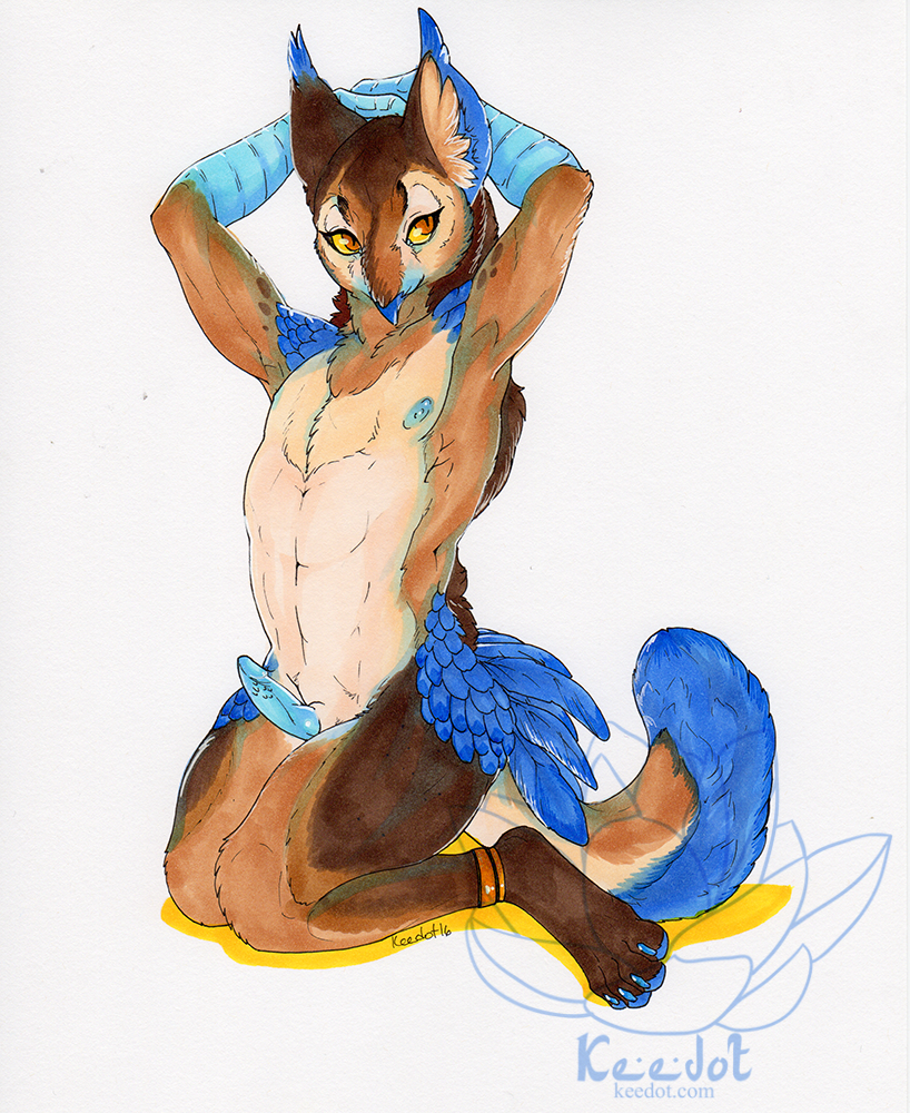 2016 anthro avian beak bird blue_claws blue_feathers blue_fur blue_nipples blue_pawpads blue_scales brown_fur claws english_text erection feathers fur gryphon hybrid keedot kneeling male male_only nipples nude owl pawpads pinup pose red_eyes scales signature simple_background slit_pupils solo text toe_claws watermark white_background yellow_sclera