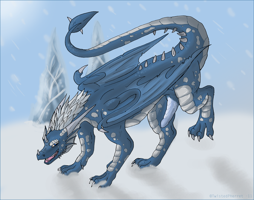 2011 dragon erection fin hair horn ice ice_dragon_(species) kaldra_(character) male mane penis scaled_dragon scales smile snow spikes spots twistedpherret_(artist) white_hair wings