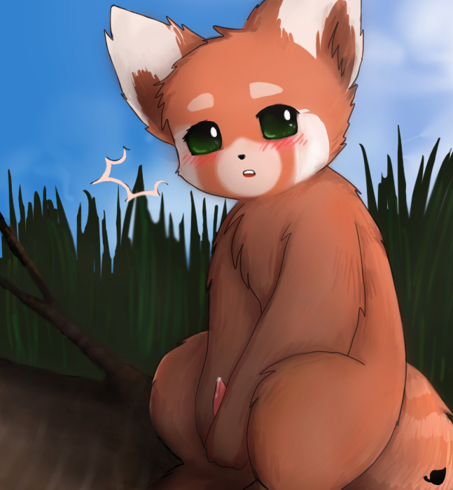 caught feral male mammal penis precum red_panda surprised tapering_penis tiuhu