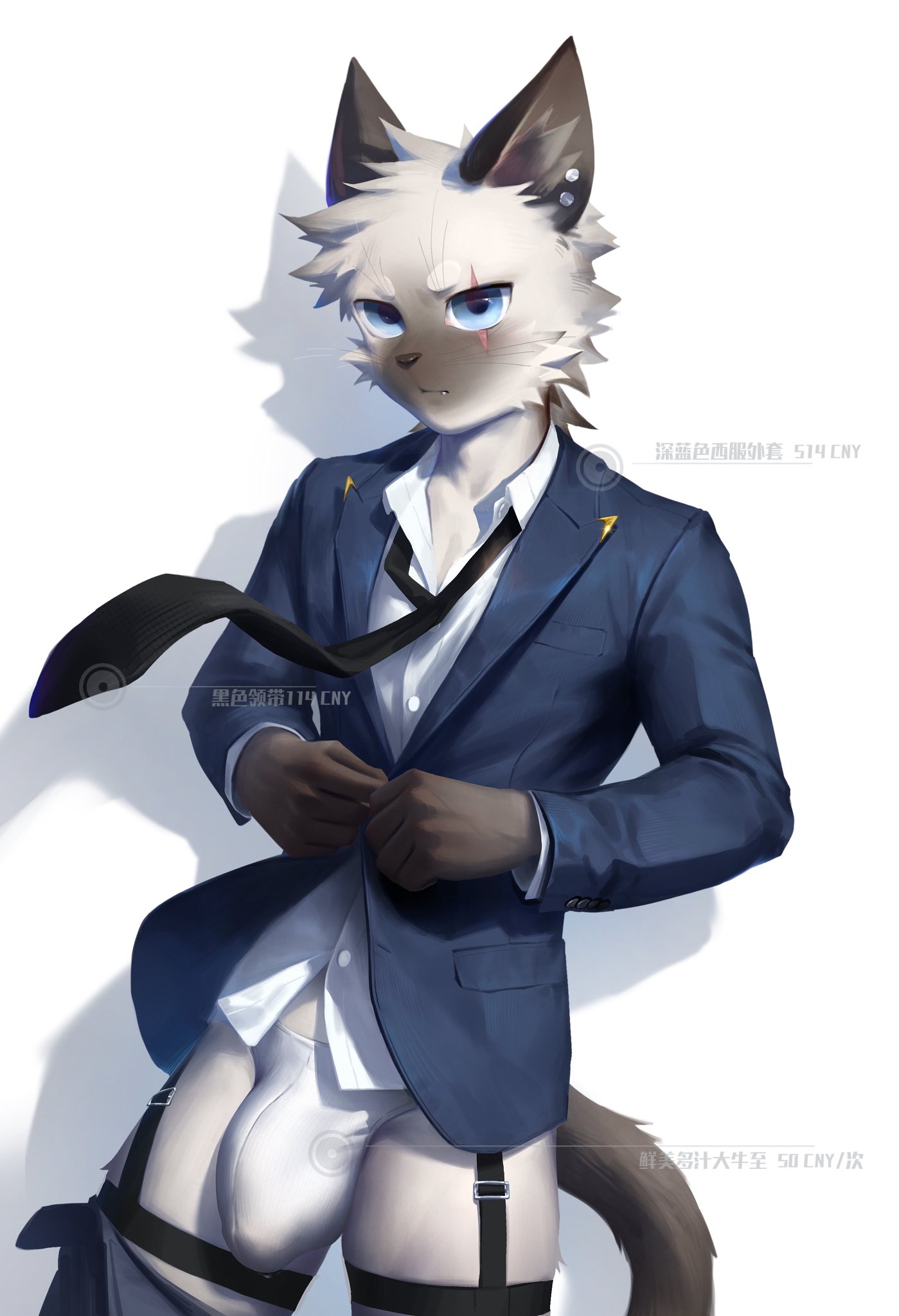 2024 anthro blue_eyes bulge claws clothing detailed_bulge domestic_cat feet felid feline felis fur grey_body grey_fur guaishoudm1 hi_res looking_at_viewer male mammal necktie scar shirt solo tail topwear underwear white_body white_fur