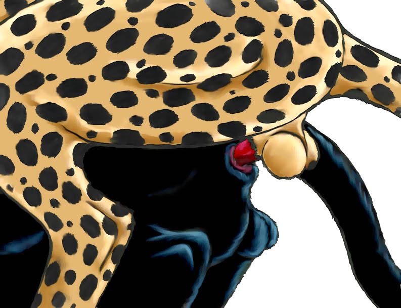 anal anal_sex anatomically_correct animal_genitalia animal_penis anus balls black_panther cheetah close-up dumari duo erection feline feline_penis feral feral_on_feral from_behind_position giza male mammal panther penetration penis sex sheath side_view simple_background spera yaoi