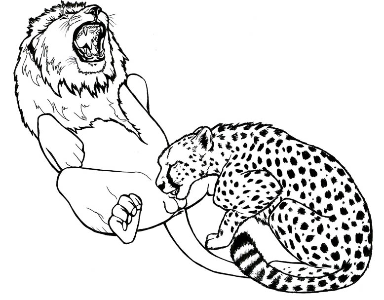 ambiguous_gender anatomically_correct animal_genitalia anus balls black_and_white cheetah closed_eyes dumari duo feline fellatio feral feral_on_feral kiwa lion lying male mammal monochrome on_back open_mouth oral roaring sex sheath simple_background spera spread_legs spreading sucking