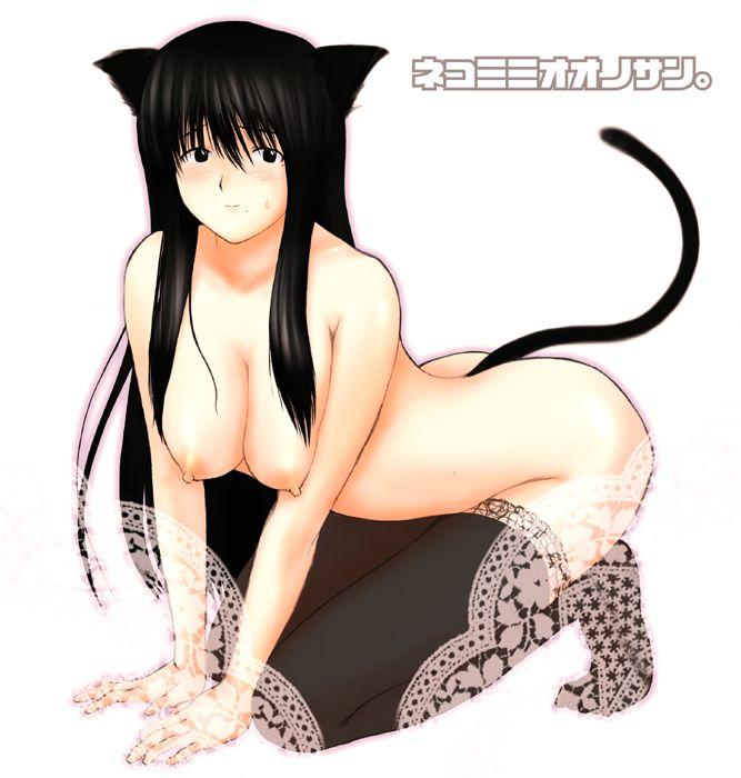 cat_ears cat_tail genshiken large_breasts mole mole_under_eye mole_under_mouth oono_kanako stockings tagme