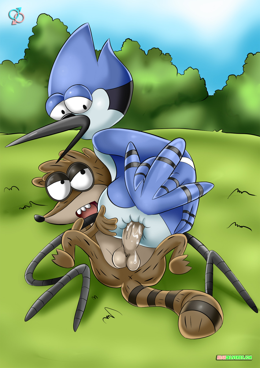 cartoon_network male male_only mordecai regular_show rigby tagme