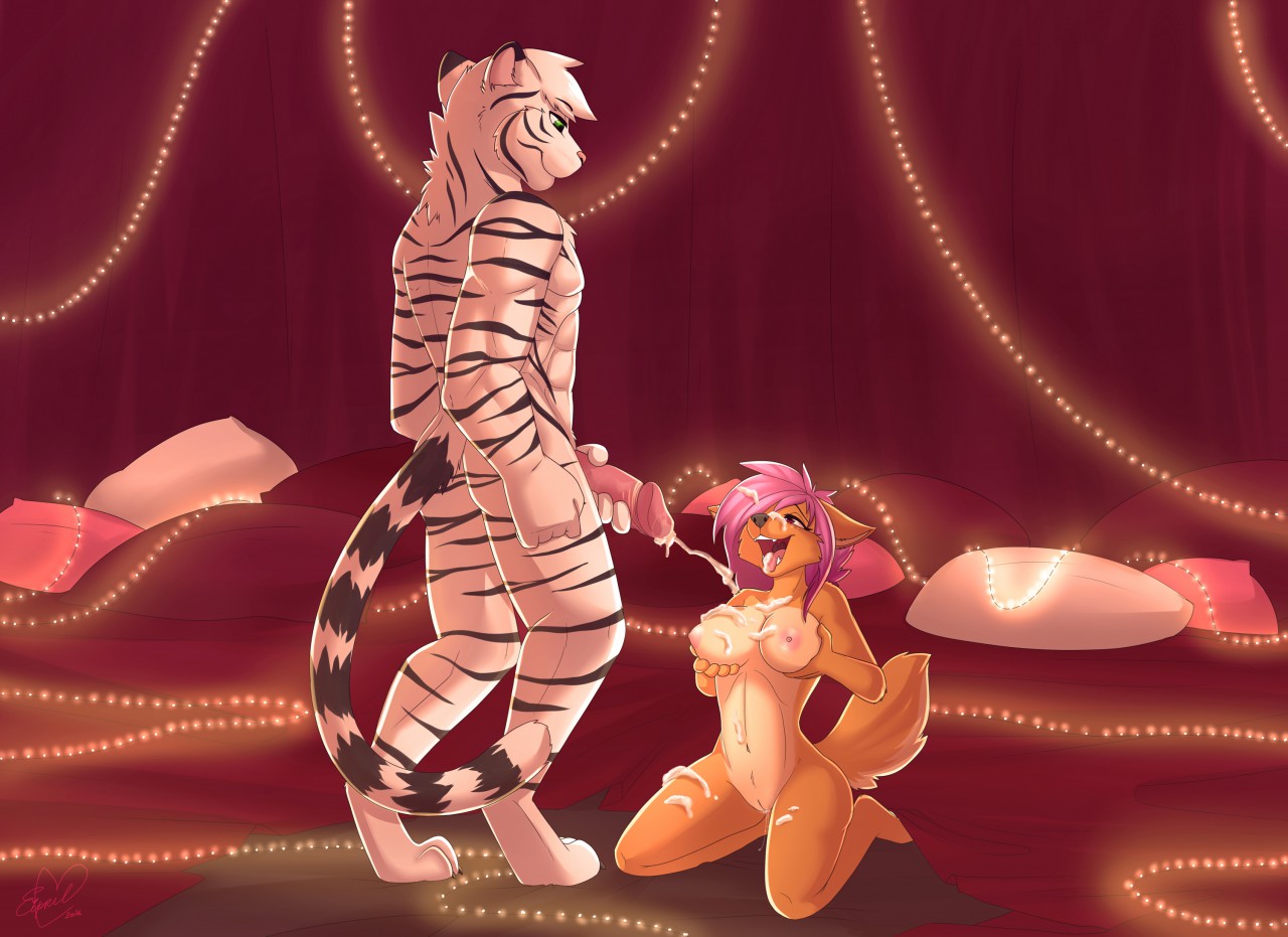 2015, after sex, anthro, black fur, breasts, brown fur, canine, cum, cum in hair, cum on breasts, cum on face, cum on leg, cum on tongue, cumshot, dingo, duo, eipril, feline, female, fur, furry, green eyes, hair, half-closed eyes, holding breast, holding penis, inside, kneeling, looking down, male, mammal, nipples, nude, orgasm, original, original character, original characters, penis, pillow, purple eyes, purple hair, pussy, shelty (eipril), standing, straight, tiger, tongue, tongue out, tyggor, white fur, white hair, white tiger