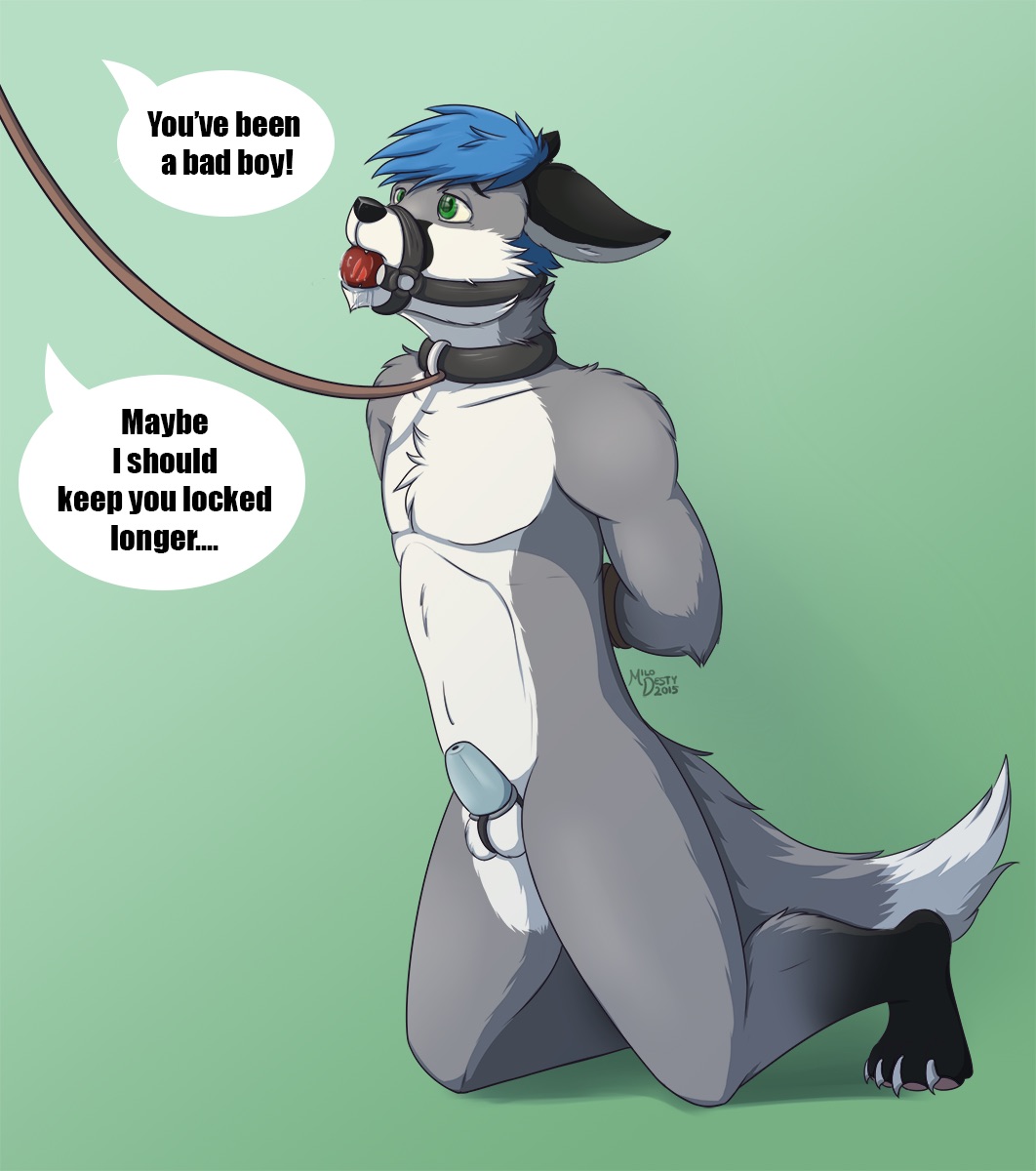 ball_gag chastity chastity_cage chastity_device collar color english_text fur furry gag grey_fur leash male_chastity milodesty pet red_ball_gag simple_background speech_bubble text white_fur